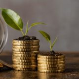 capital vs equity