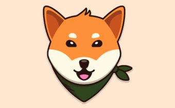 Bogecoin