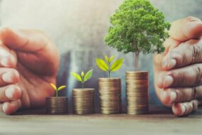 mutual funds