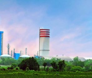 Chambal Fertilizer share price