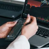 Which Type Of Portfolio Might A Young Investor Who Is Not Afraid Of Risk Choose?