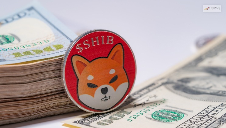 Is Shiba Inu Coin A Good Investment