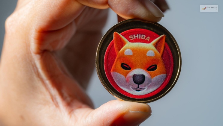 What Are Shiba Inu Coins