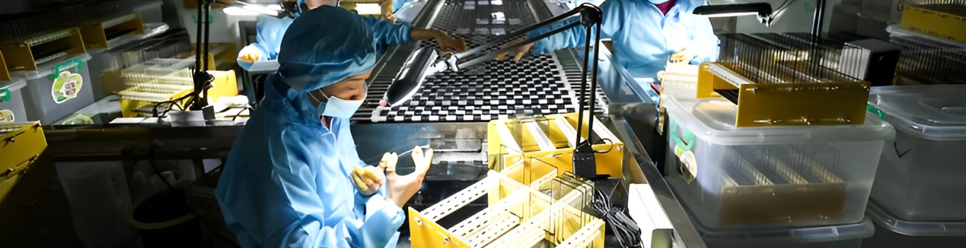China Surprise Uplifts Moods Right Before The US Payrolls