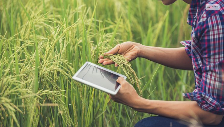 Different Types Of Farm Loans
