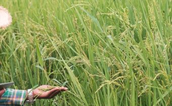 Farm Loans