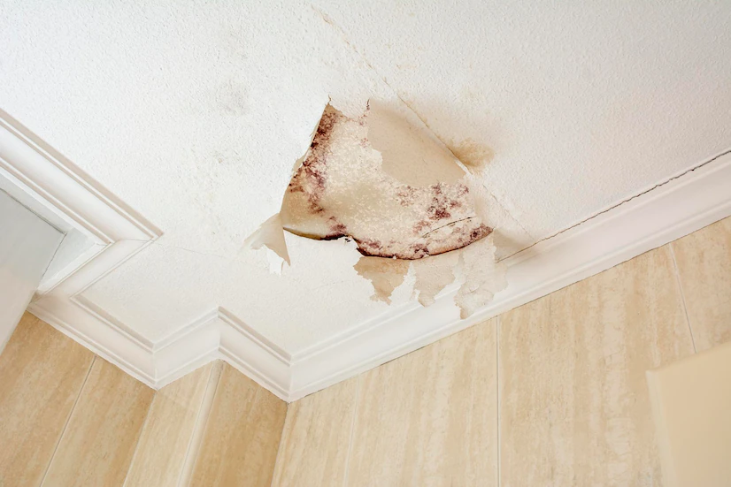Water Damage Mitigation