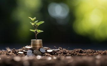Lump Sum Investment