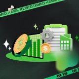 capital resources examples