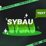 What does SYBAU mean in text?