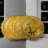 Platform on polygon network