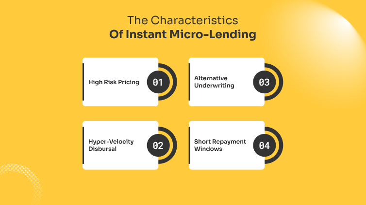 The Characteristics Of Instant Micro Lending