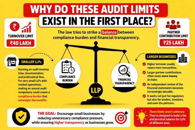 Why Do These Audit Limits Exist In The First Place
